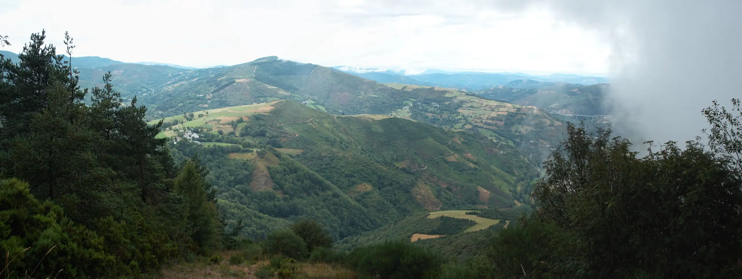 A waymarked path on the Camino de Santiago crossing open countryside