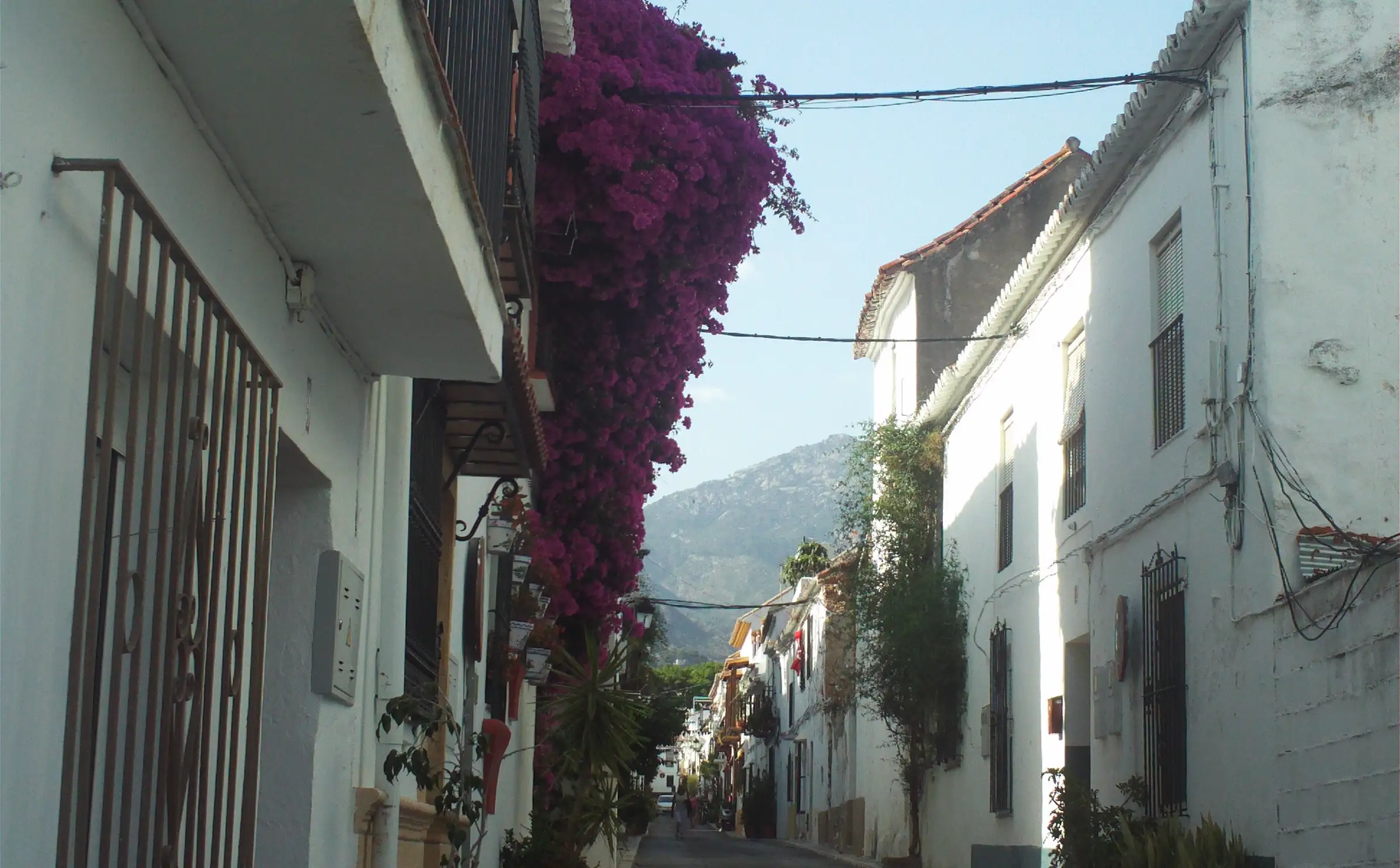 A whitewashed street in the old town of Marbella, with bougainvillea and the Sierra Blanca behind