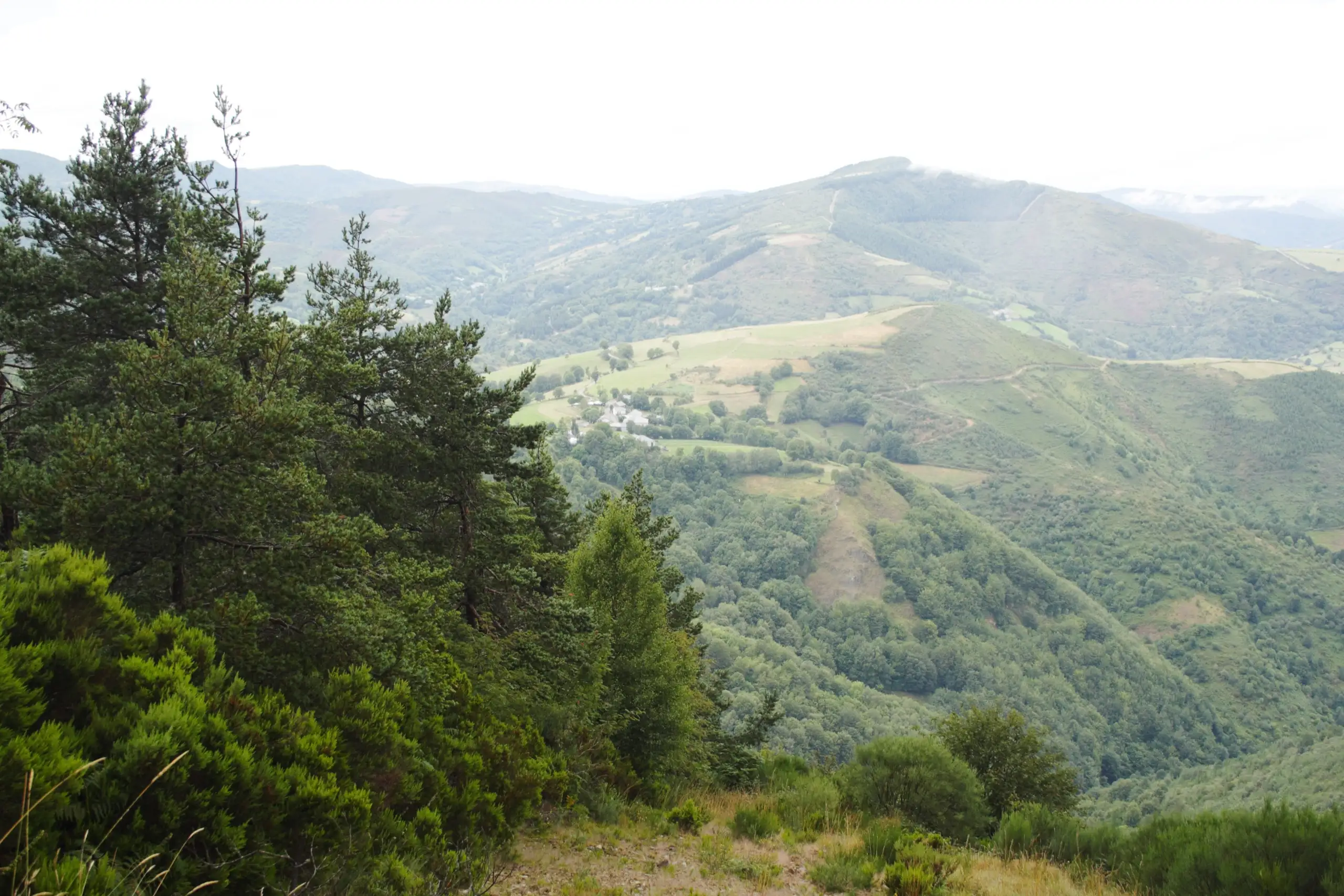 Pallozas with thatched roofs at O Cebreiro, the door into Galicia